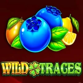 Wild Traces online slot from Amusnet Interactive – play at gransin.fr